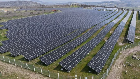 Manisa’ya Çarpıcı rakam: $0