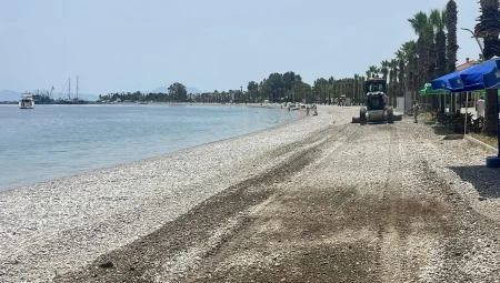Muğla Milas’ta belediye ekipleri şehrin dört bir yanında