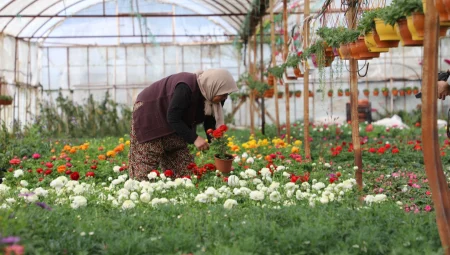 Muğla’da Çarpıcı rakam: $0