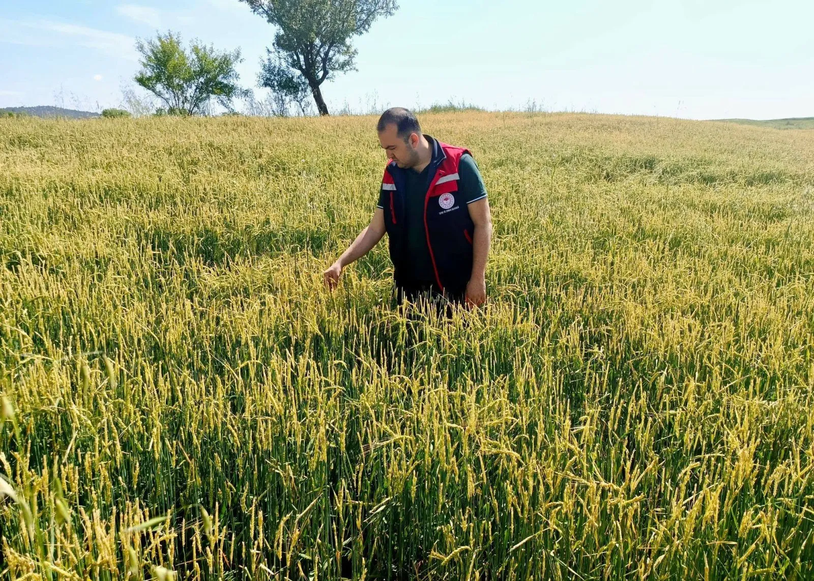 Sandıklı’da Dolu Afeti Sonrası Saha Çalışmaları Yapıldı