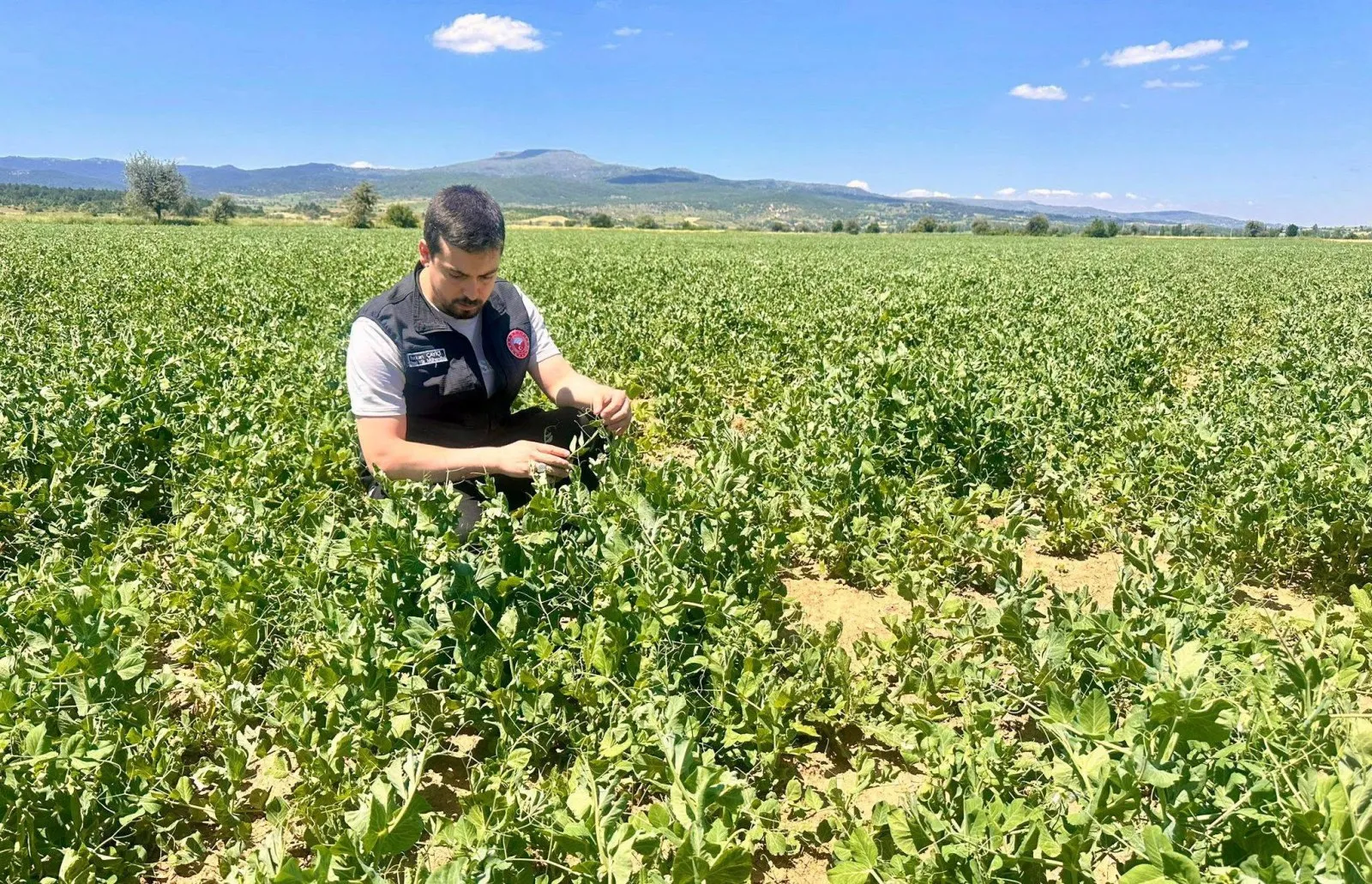 Tarımsal İzleme ve Kontrol Çalışmaları Devam Ediyor