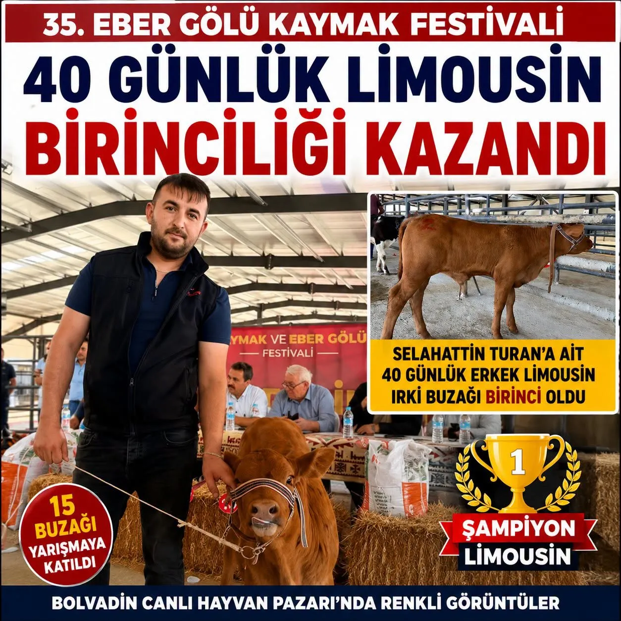 Bolvadin’de En Güzel Buzağı Seçildi