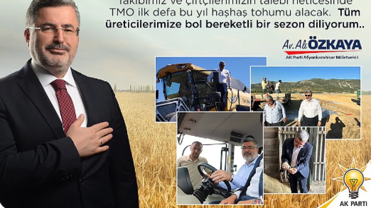 2026’DA HAŞHAŞ ÜRETİCİSİNE YENİ DÖNEM! TMO’DAN TOHUM İÇİN KİLOGRAM BAŞINA 140 TL FİYAT